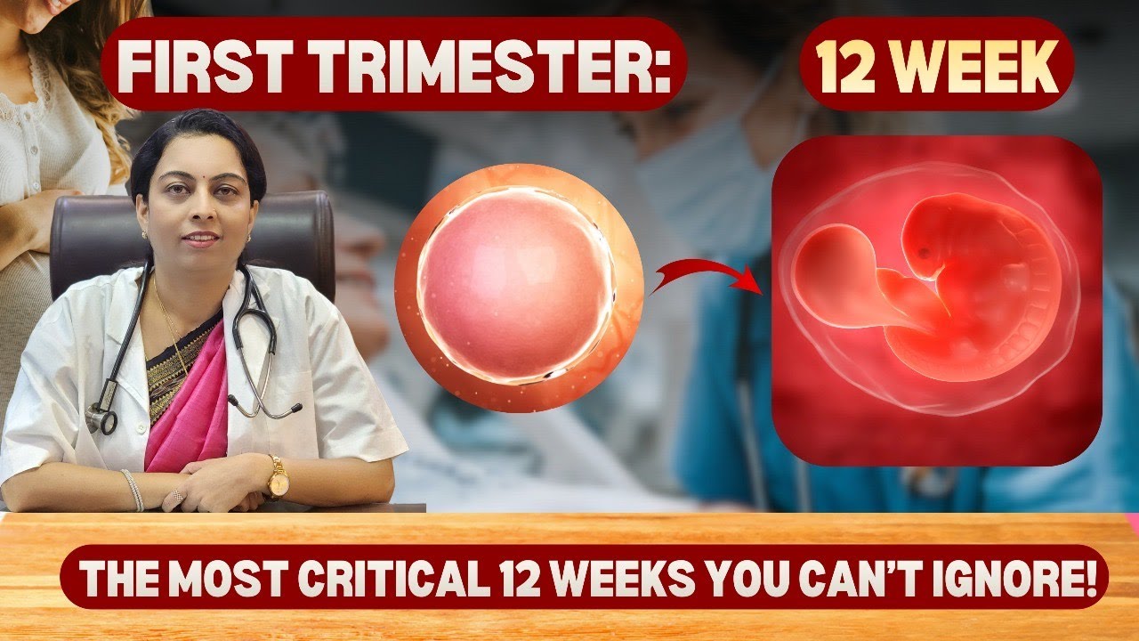 From a Single Cell to a Beating Heart 💓 | First Trimester of Baby Growth Explained |Dr. Swati Gupta