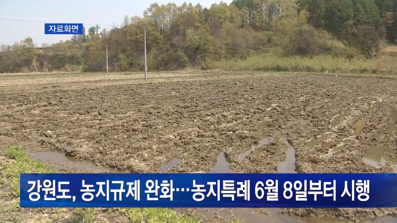 [2024년 6월 11일] NBS 투데이