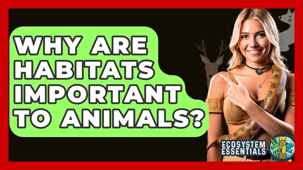 Why Are Habitats Important To Animals? - Ecosystem Essentials