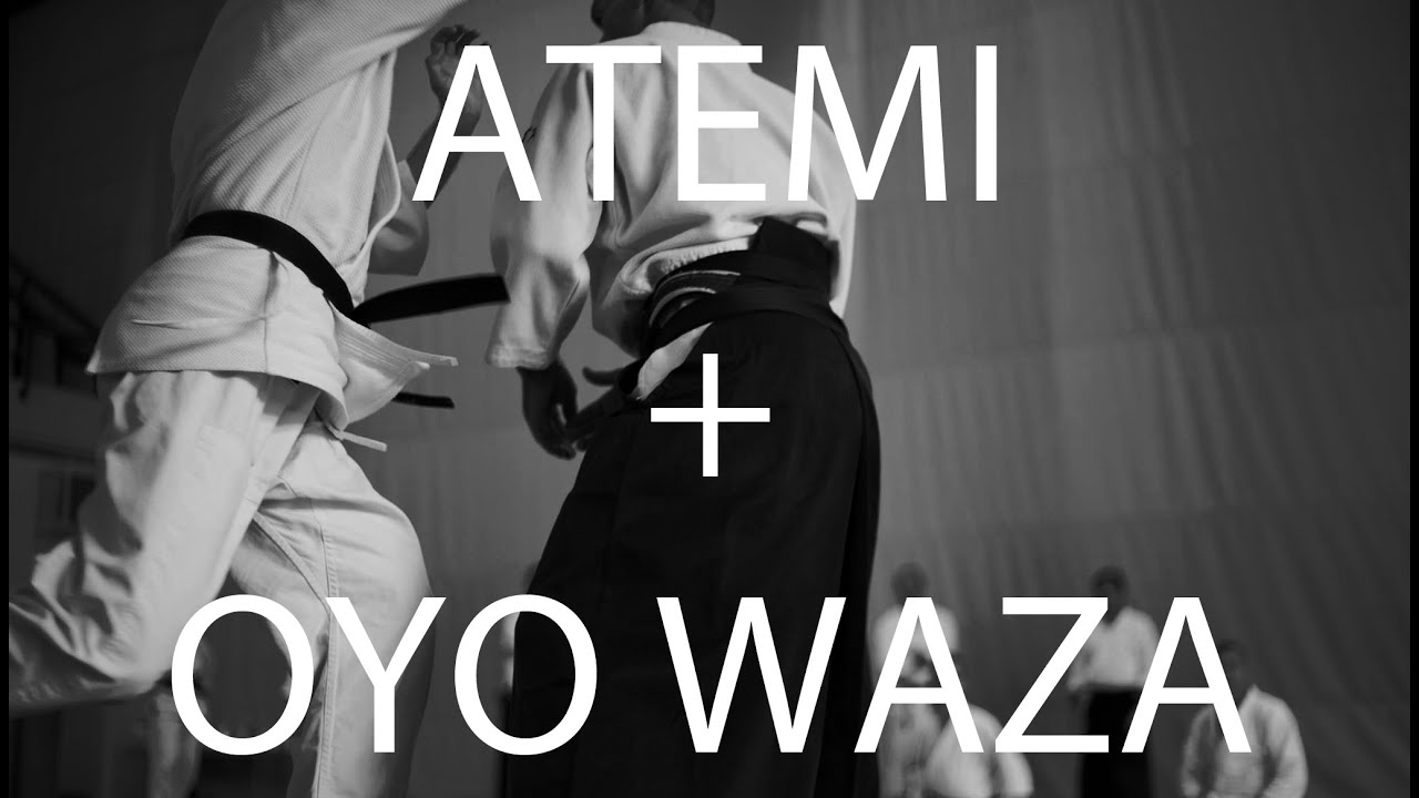 Atemi + Oyo waza - Traditional Aikido Europe - Lewis Bernaldo de Quiros Weesp Yudansha Seminar