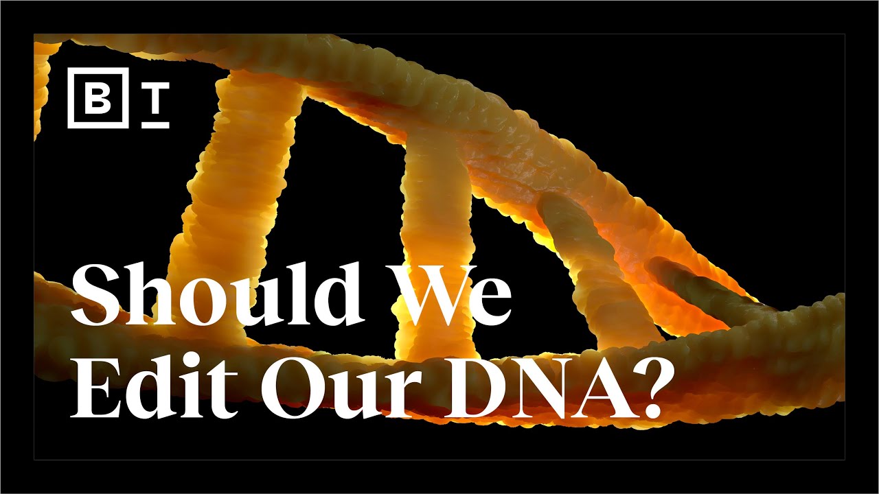 Mixing human + animal DNA and the future of gene editing | Big Think