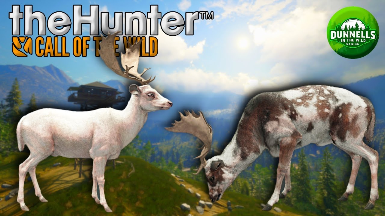 1,165 KILLS IN… Fallow Deer GREAT ONE Grind Continues! | theHunter COTW