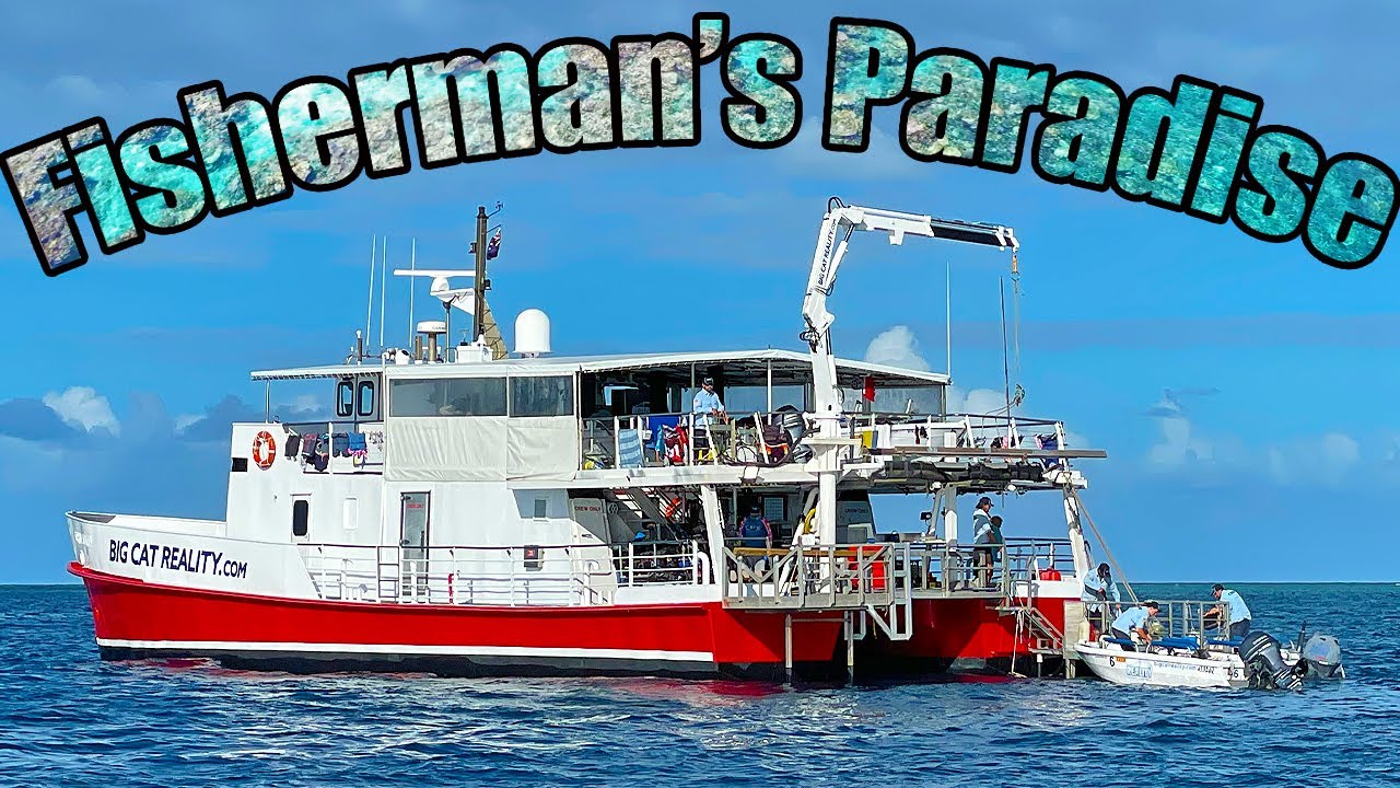 Fishing from a Liveaboard boat 400kms out to sea | Swains Reef