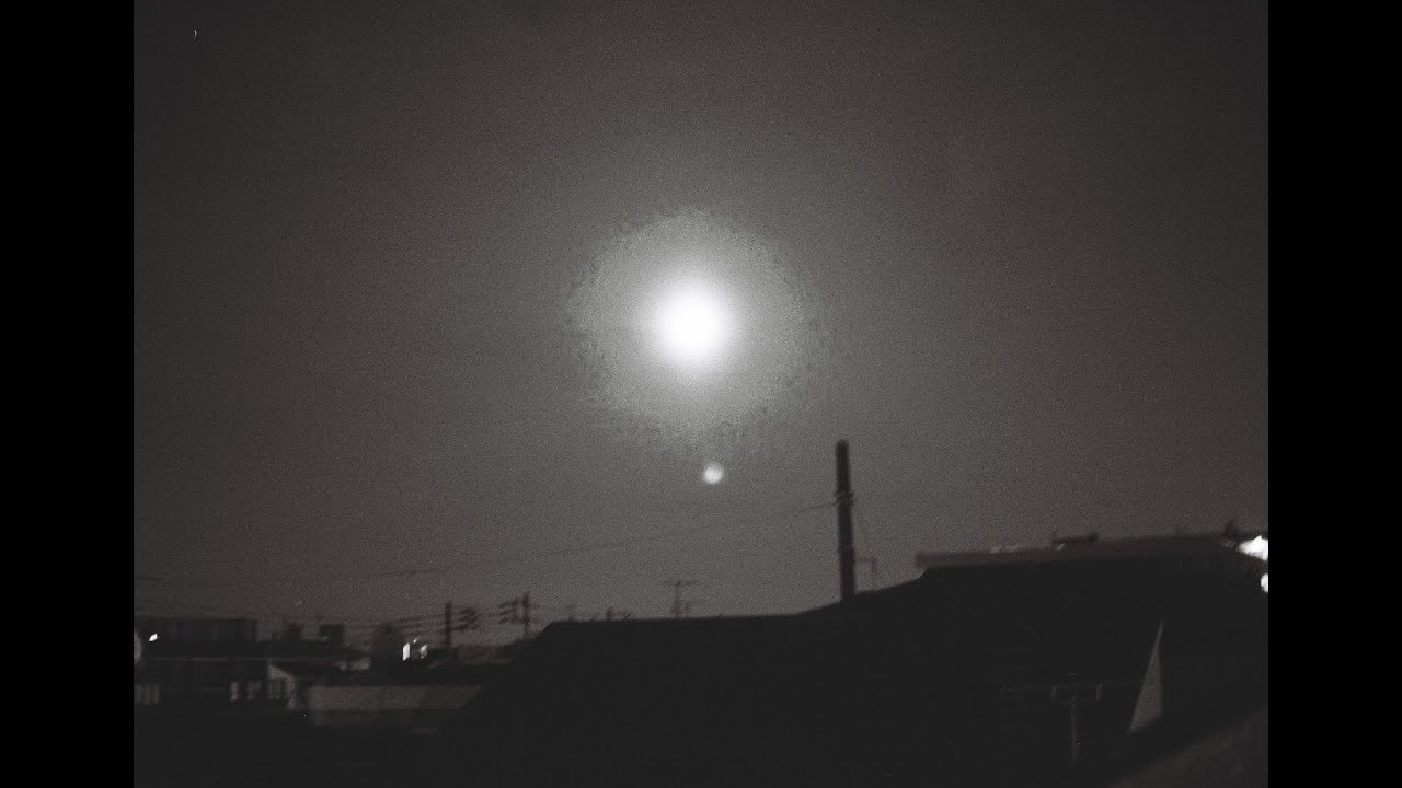 夜の練馬を散歩する / 中野行きのバスに乗る　CONTAX Carl Zeiss Planar T＊ 1.4/50 / CONTAX 167MT / Kodak TRI-X 400
