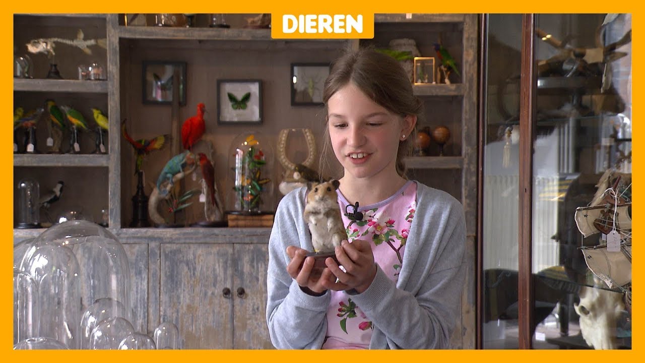 Wessel (12) en Catharina (10) laten hun dode huisdier opzetten