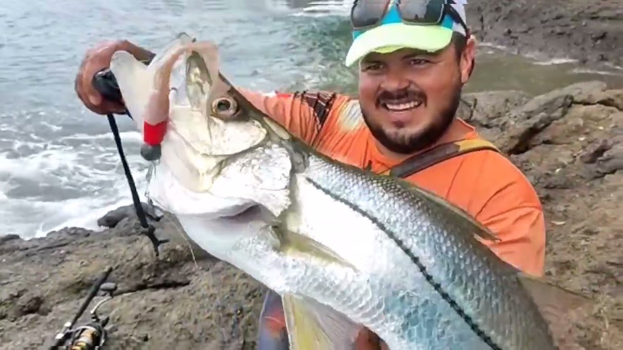 Surfishing, rock fishing , Corvina, pampano y bagre gigante // Recopilaci&oacute;n  #corvina #bagre #panama