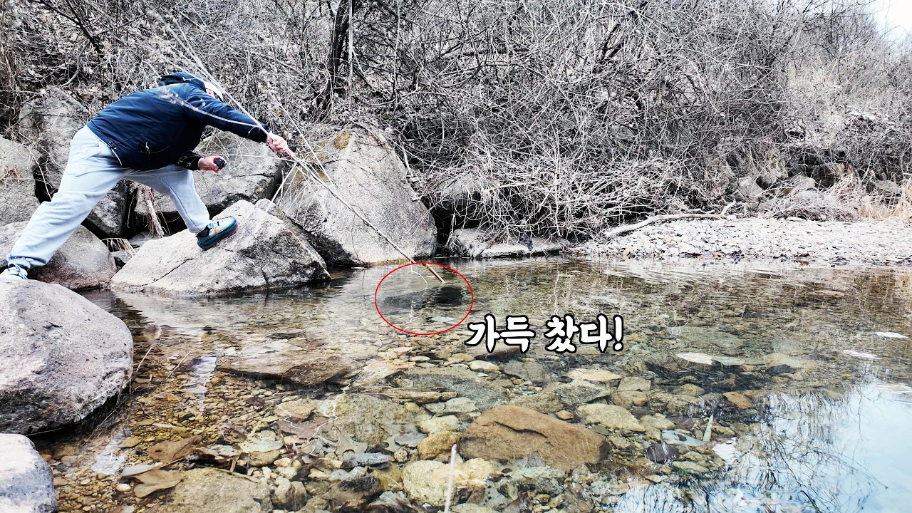 아무도 오지 않는 깊은 산속 계곡에 통발을 놓았더니 꽉 찼습니다!