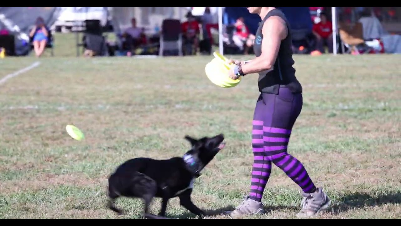 Andrea Morrisette and Capiche 2024 USDDN world finals