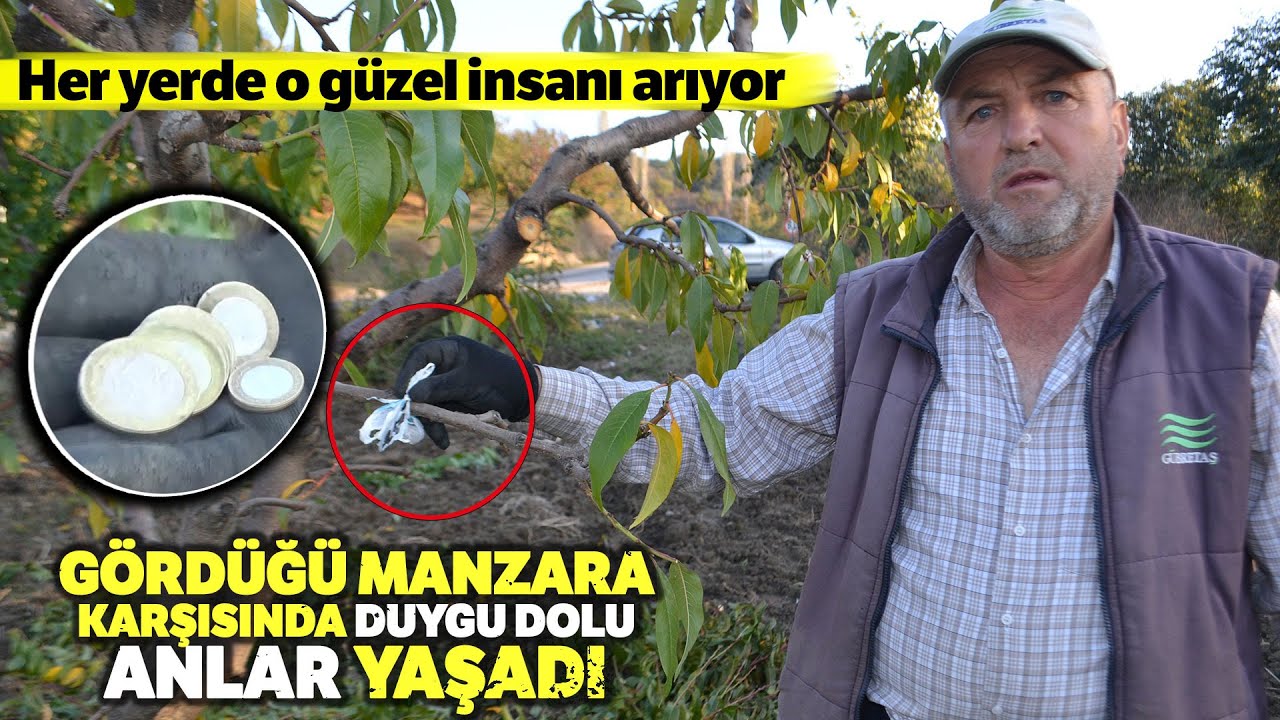 Bahçesindeki Şeftali Ağacına Asılı 7 TL Buldu, Gözyaşlarını Tutamadı