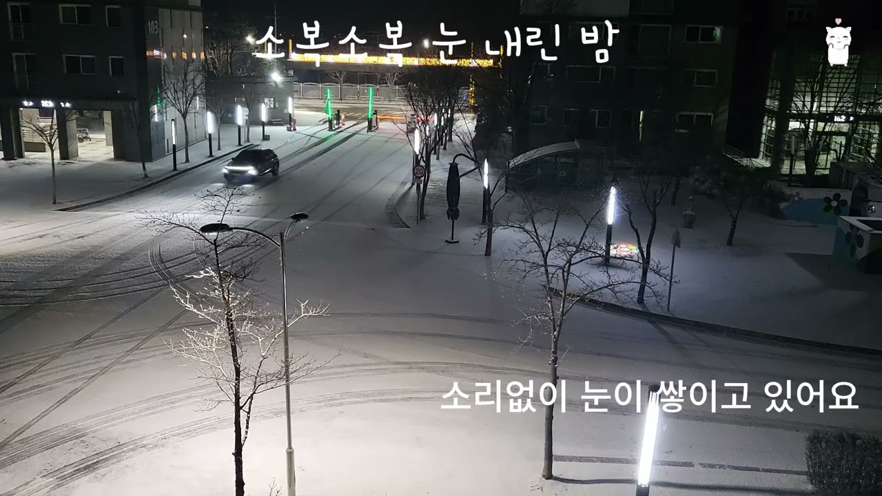 0124 소복소복 눈 내린 밤 (시달) #흰둥이 #강아지 #강아지일상 #눈 #눈내리는날 #눈오는풍경 #밤 #겨울눈 #아파트 #아파트 눈오는 풍경