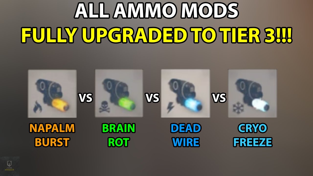 All Ammo Mods Upgraded To Tier 3! Which Is Best? (Cold War Zombies)