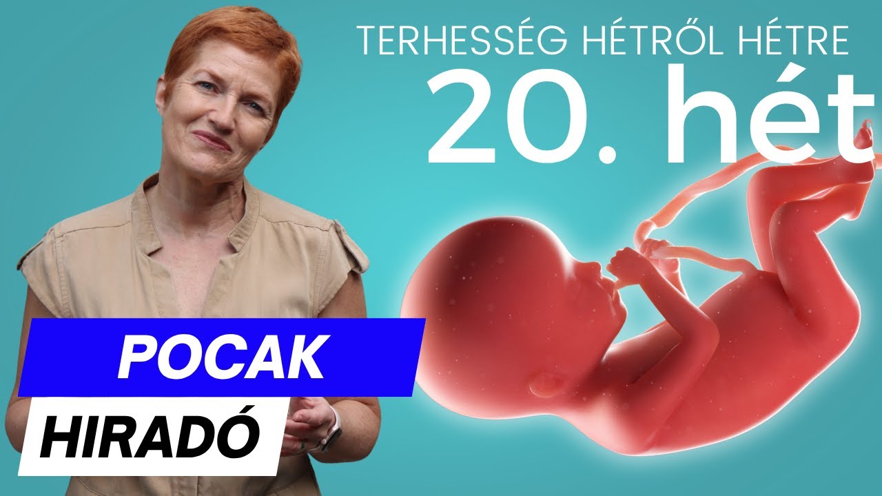 Terhesség 20. hete ∣ Terhesség hétről hétre
