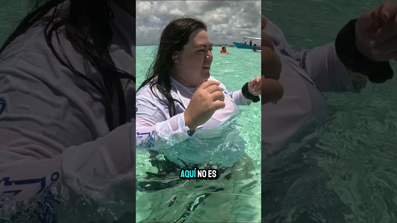 Este es el tour M&Aacute;S COMPLETO a Cozumel 🐠 no te pierdas nuestra gu&iacute;a completa #Cozumel #Mexico #Tour