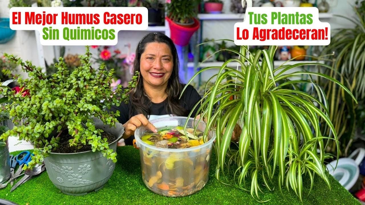 Como Hacer Humus Casero Con Muchos Nutrientes Sin Hacerle Daño a Tus Plantas