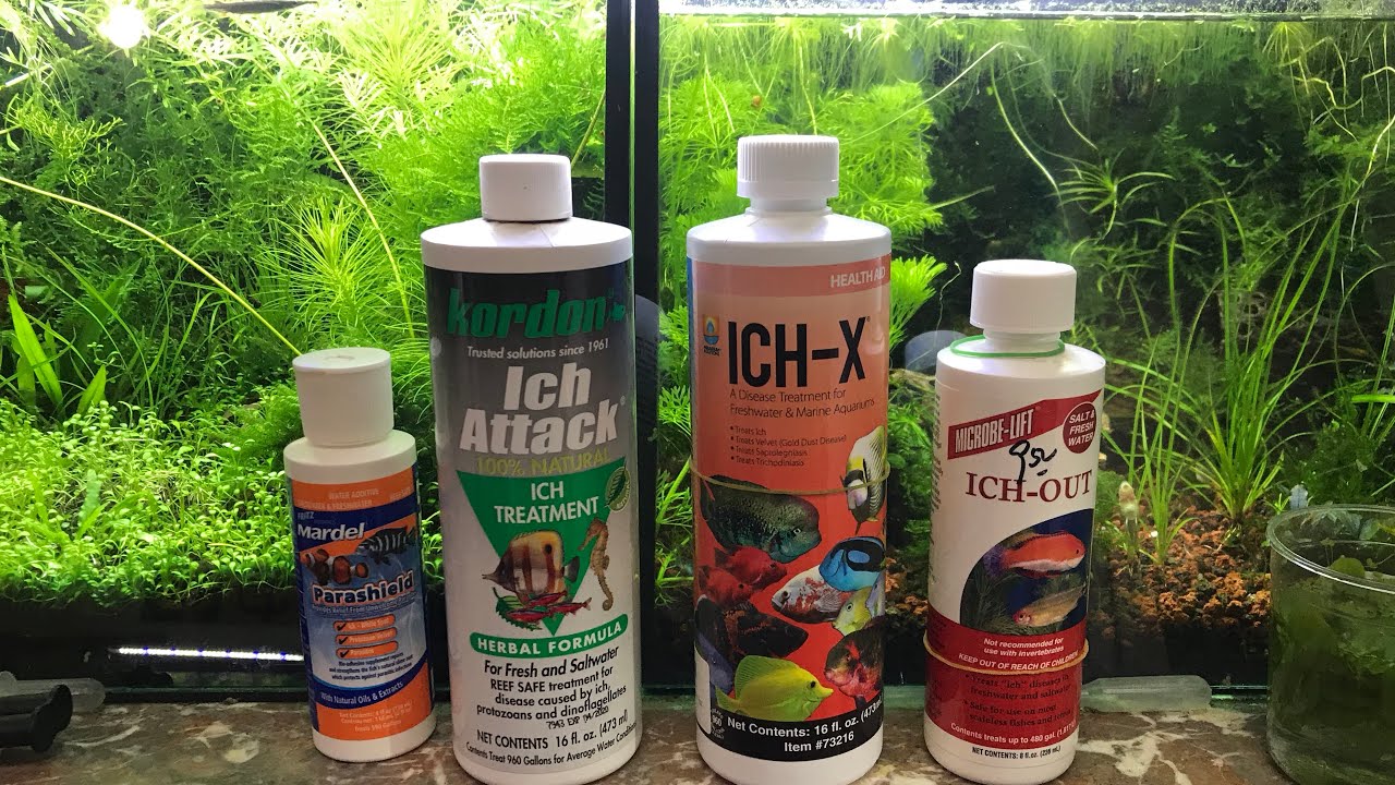 Got Ich?!? Sensitive/Scaleless Fish?? Invertebrates in the tank?! NO PROBLEM!