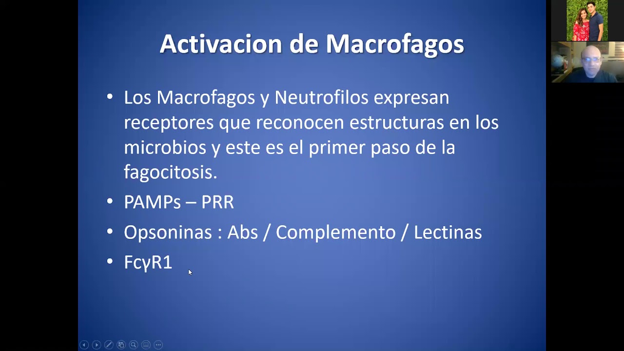 Activacion de macrofagos