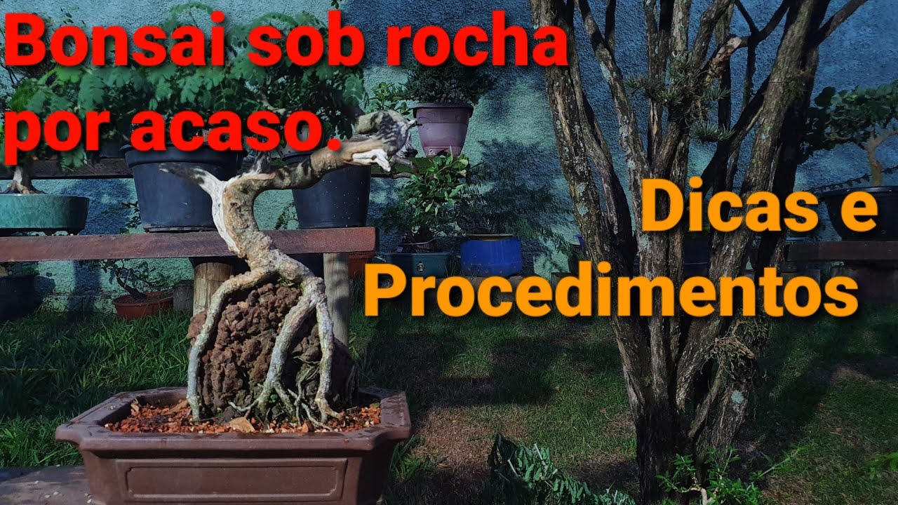 O Pedrisco Secreto e o Piteco Sobre Rocha