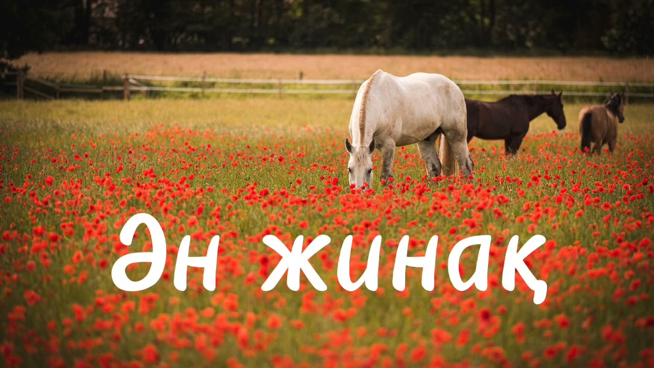Қазақша әндер жинағы