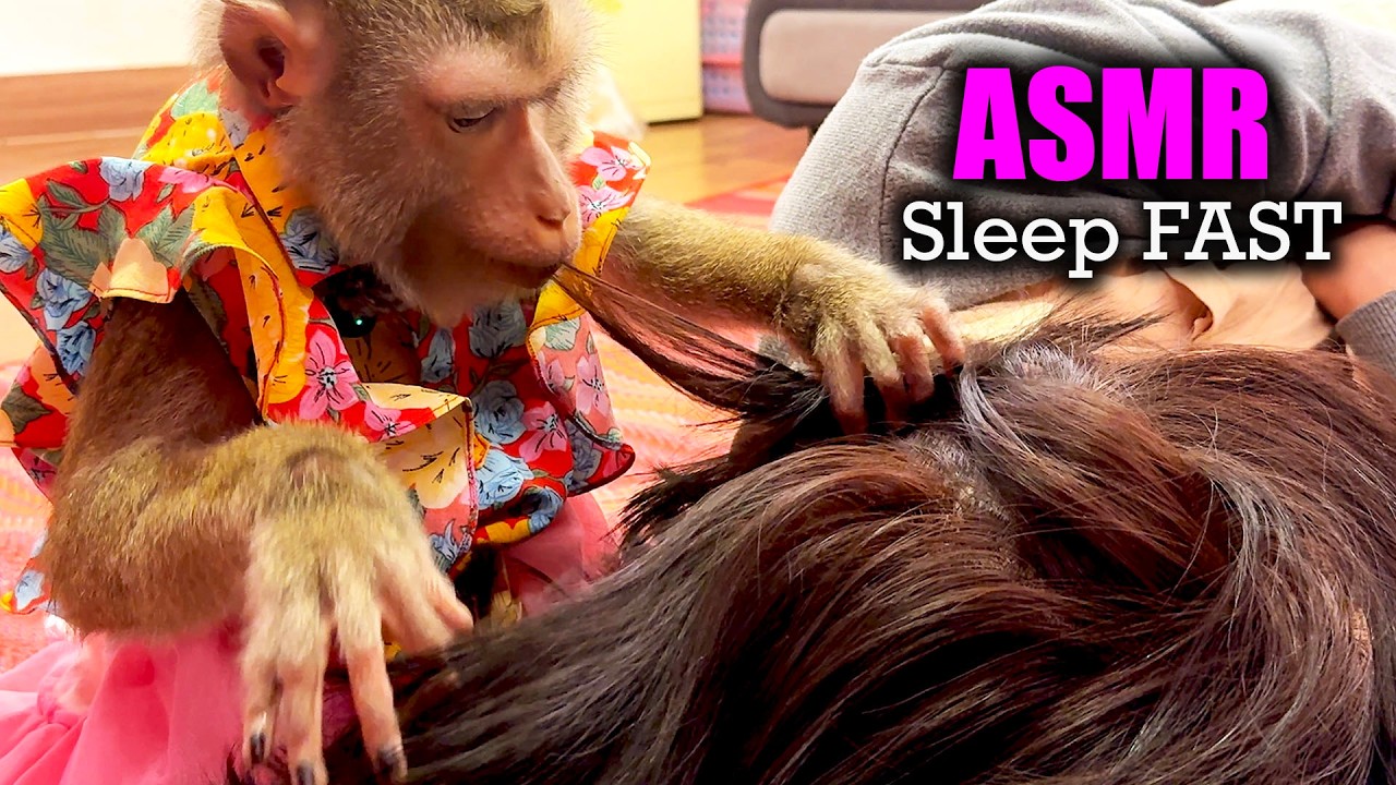 Sleep FAST with Judy’s Hair Pick ASMR | Pure Scalp Tingles & Crisp Parting Sound