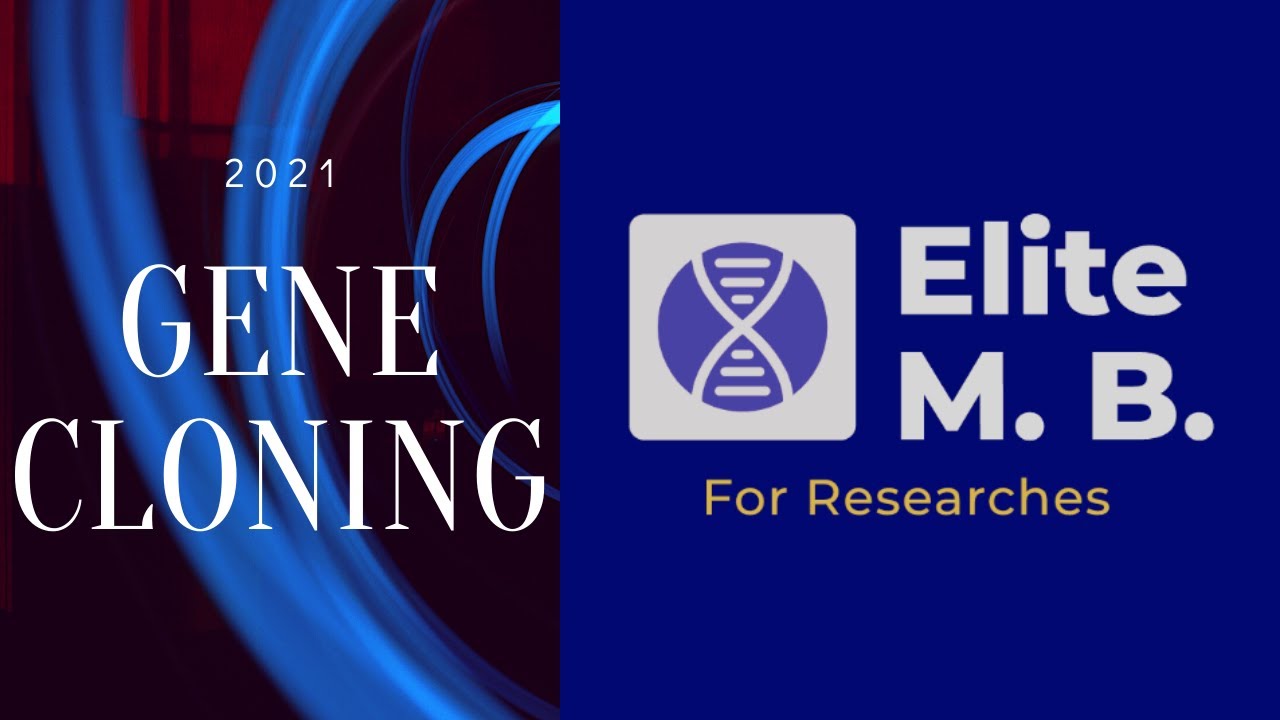 Elite Mol. Biology \ The Gene Cloning