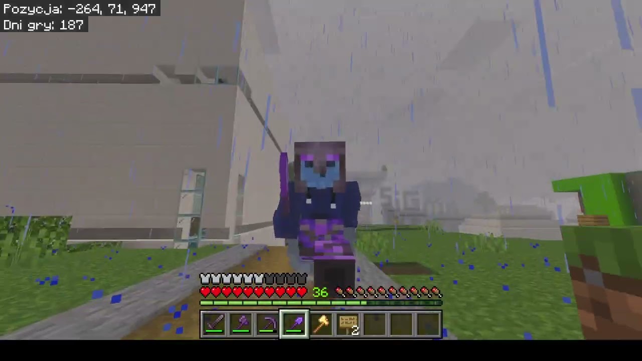 moje koty i nowy mod na Oliwierowie