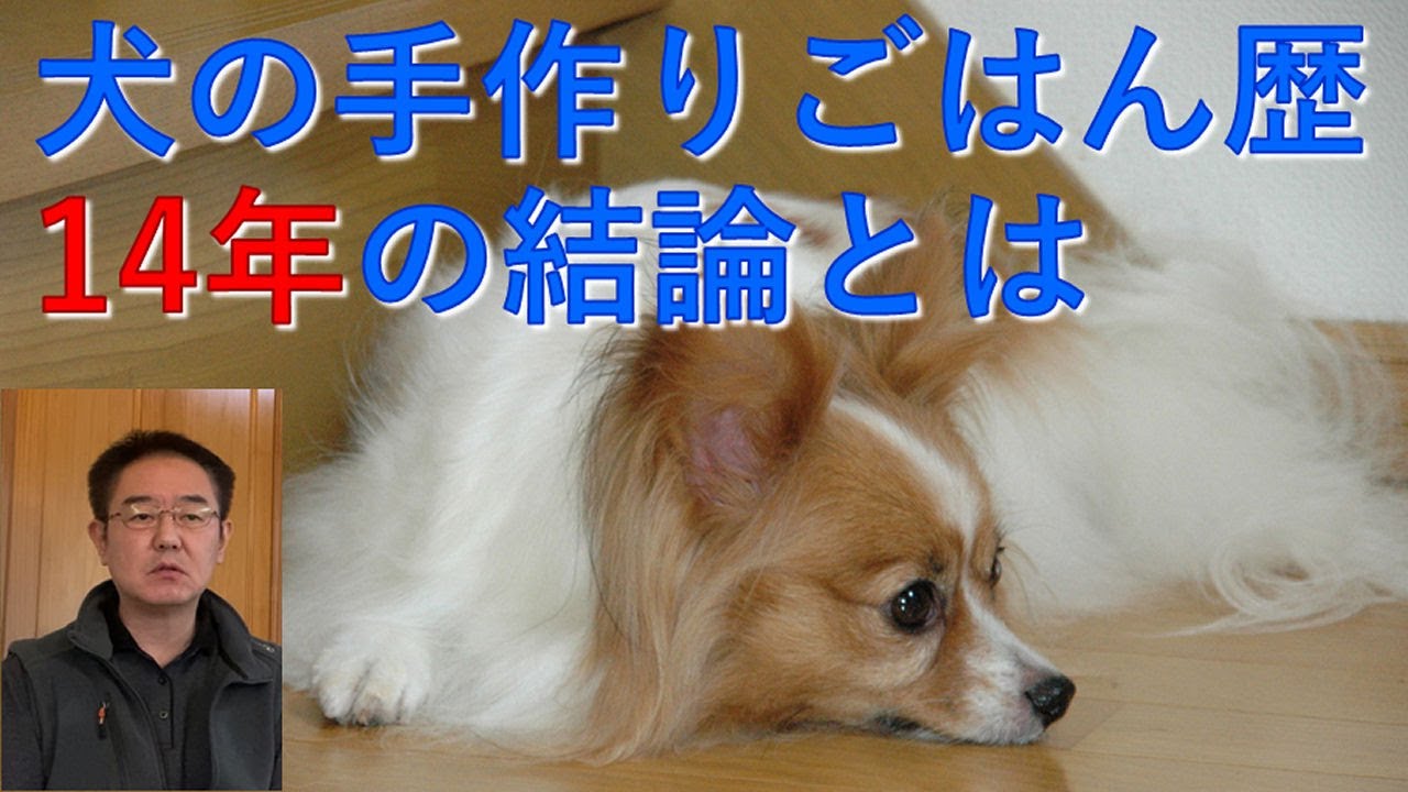 犬の手作りごはんの困りごとや悩みごとを解決｜徹底解説＋鶏むね肉と焼き芋の煮込み