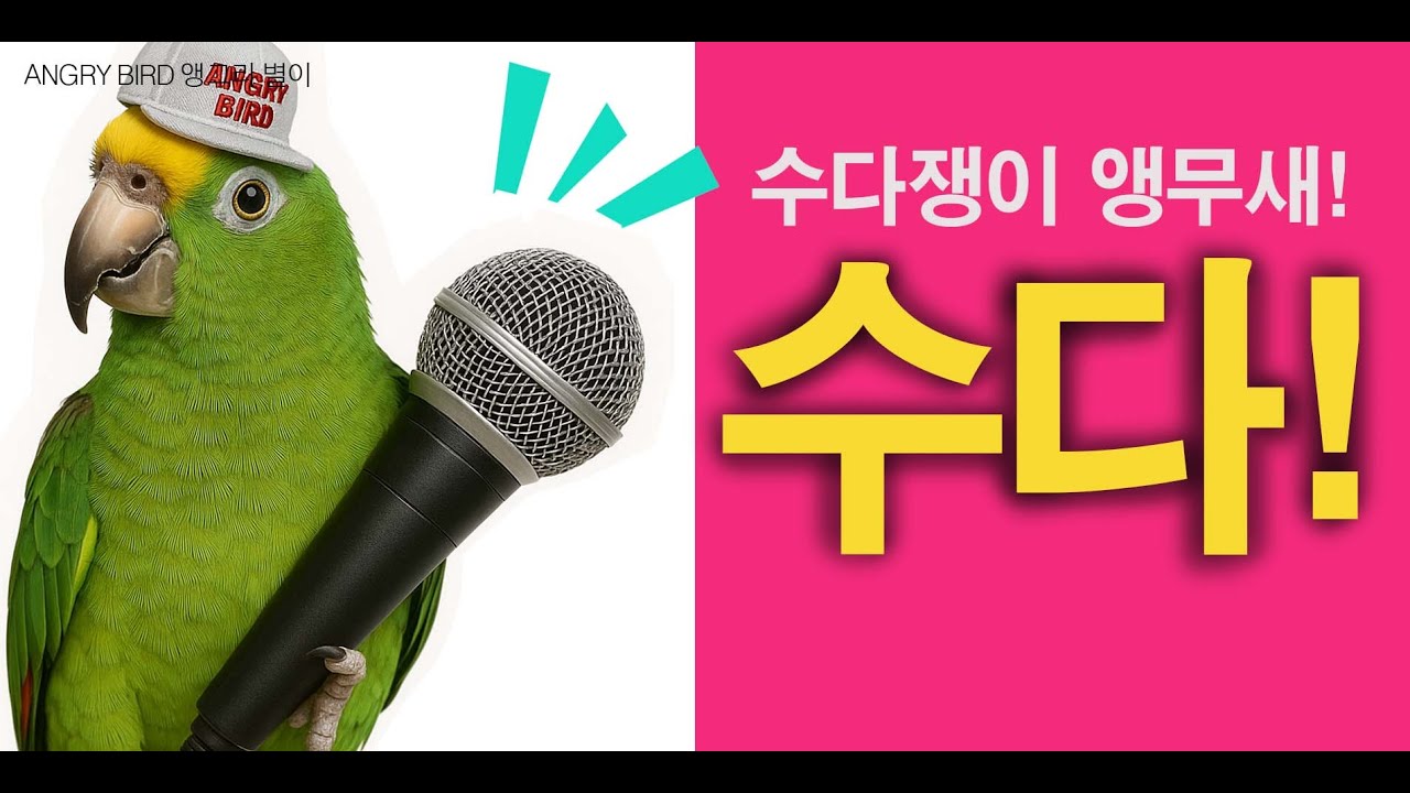 쉴새없이 터지는 수다!/ 수다쟁이 앵무새 / 밤에 놀자! 나도 끼워줘! / 앵무새가 개콘보다 더 웃기다!!  / 사람과 대화 가능앵무새 / ANGRY BIRD