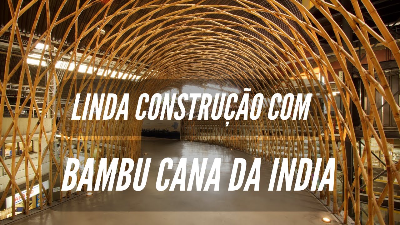 Linda construção com bambu cana da índia