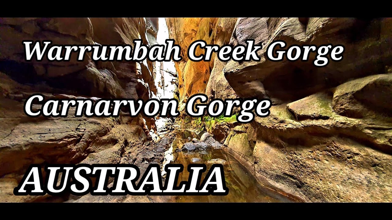 What to see in Carnarvon Gorge, Adventure with Bernie, Warrumbah Creek Gorge, Queensland Australia,