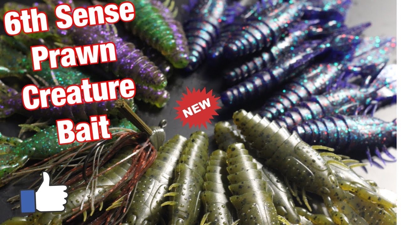 6th Sense Fishing Prawn Creature Bait (Table Top First Look)