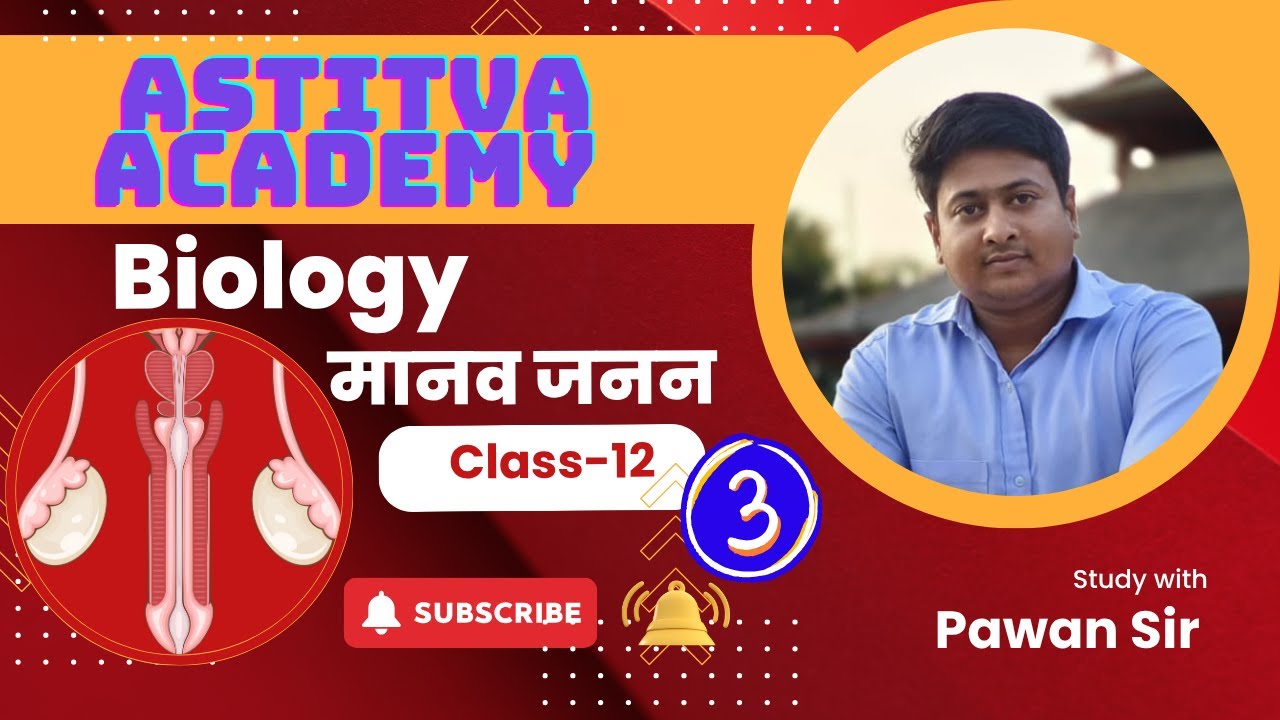 Male Reproductive System | Human reproduction | Class 12th | | up Board | Part 3 | by pawan sir