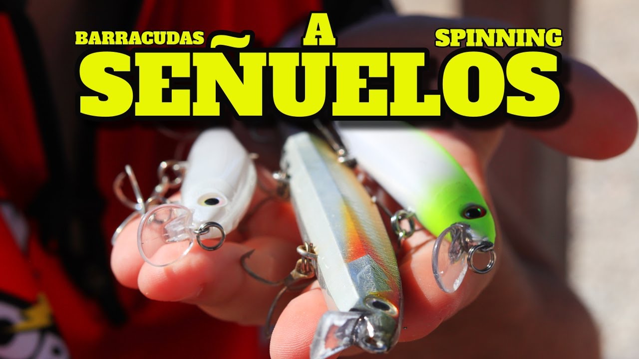 SEÑUELOS para BARRACUDAS | Barracuda a Spinning desde CERO | EP.1