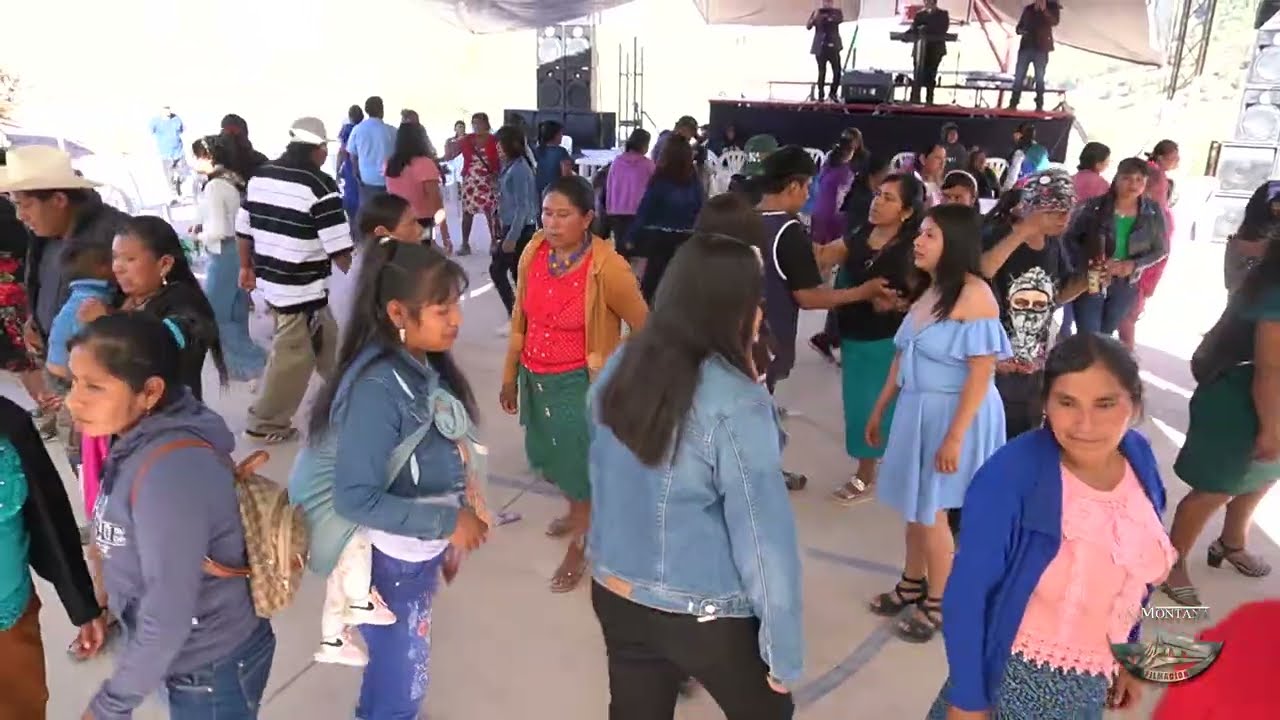 Yo quiero un amor (La Flaca)💃🕺 Los DOS COMPAS y sus teclados 🎹🇲🇽🎶 (Buena Vista Gro 🇲🇽)