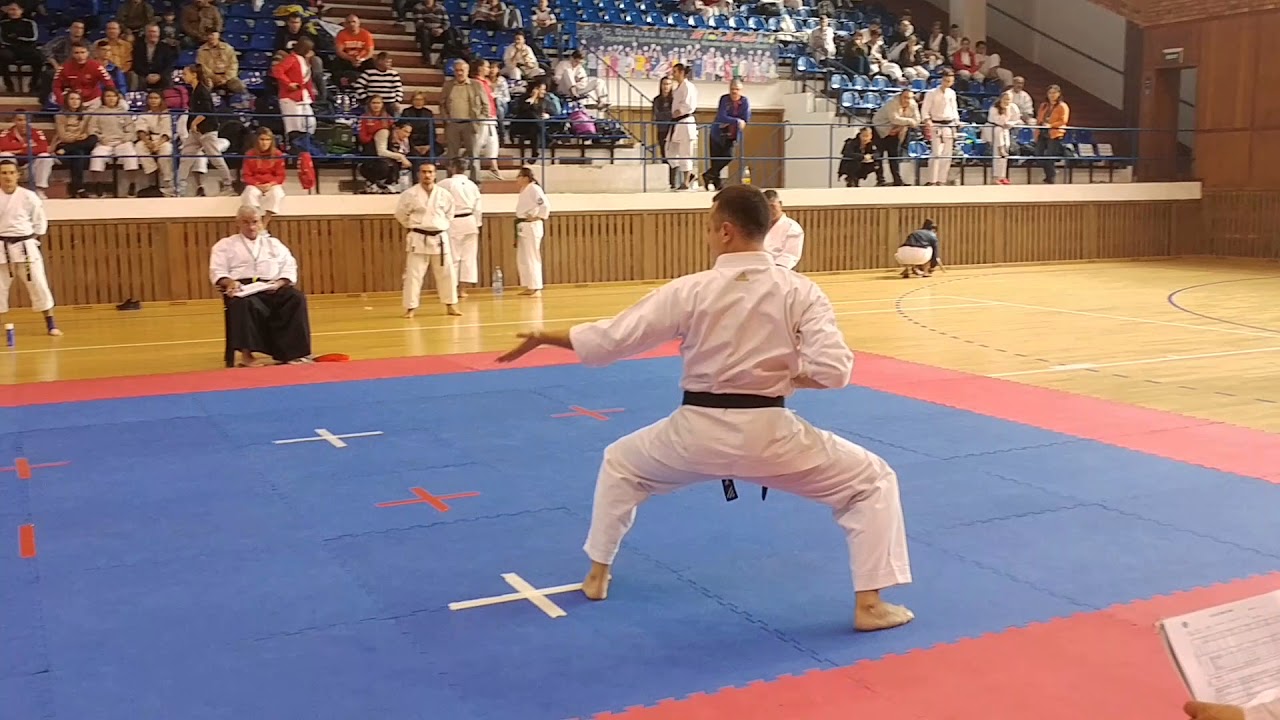 Fudokan Kata KAMINARU by Vlad POPESCU - CNKT2017