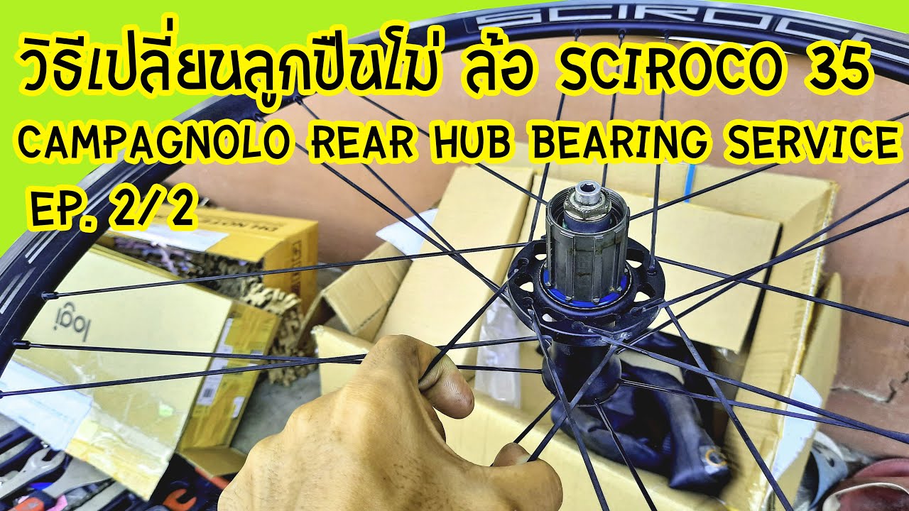 วิธีเปลี่ยนลูกปืนโม่ ล้อ Sciroco35 วิธีประกอบโม่จักรยาน //Campagnolo Sciroco Rear hub service (2/2)