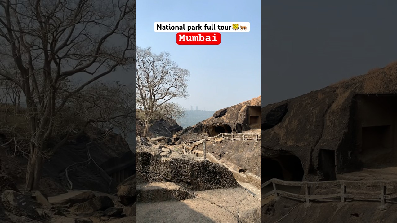 Sanjay gandhi national park borivali mumbai #nationalpark #mumbai #borivali #explore #travelvlog