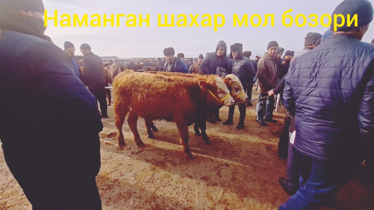 8 февраля 2026 г.