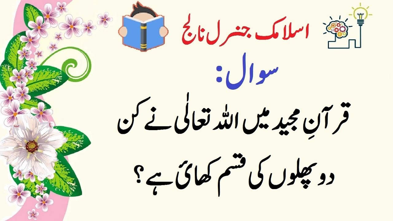 Interesting Islamic information | دلچسپ اسلامی معلومات | Islamic General Knowledge | Urdu Hindi