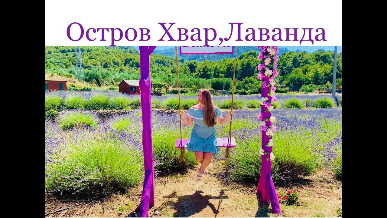 Остров хвар входит в 10 самых красивых островов европы   Лавандовые поля.Сказочная природа  VLOG.