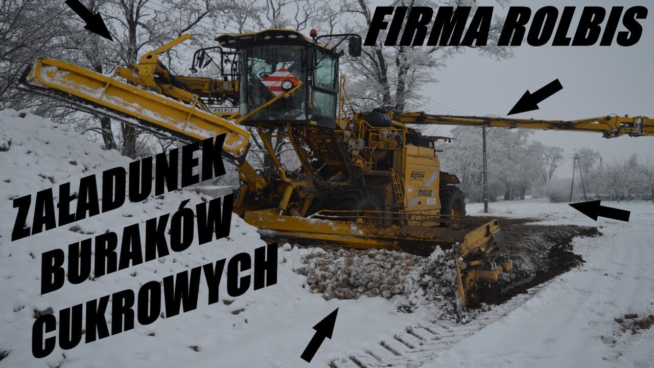 🔥 Zakończenie Kampanii Buraczanej🔥 Załadunek Buraka Cukrowego🔥 ROLBIS Ropa Maus 5🔥