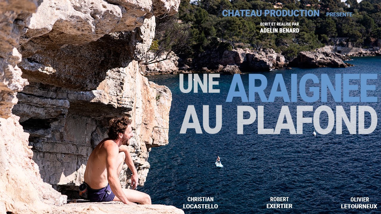 Une araignée au plafond