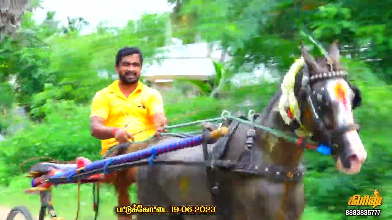 Ps Patukkottaai horse race