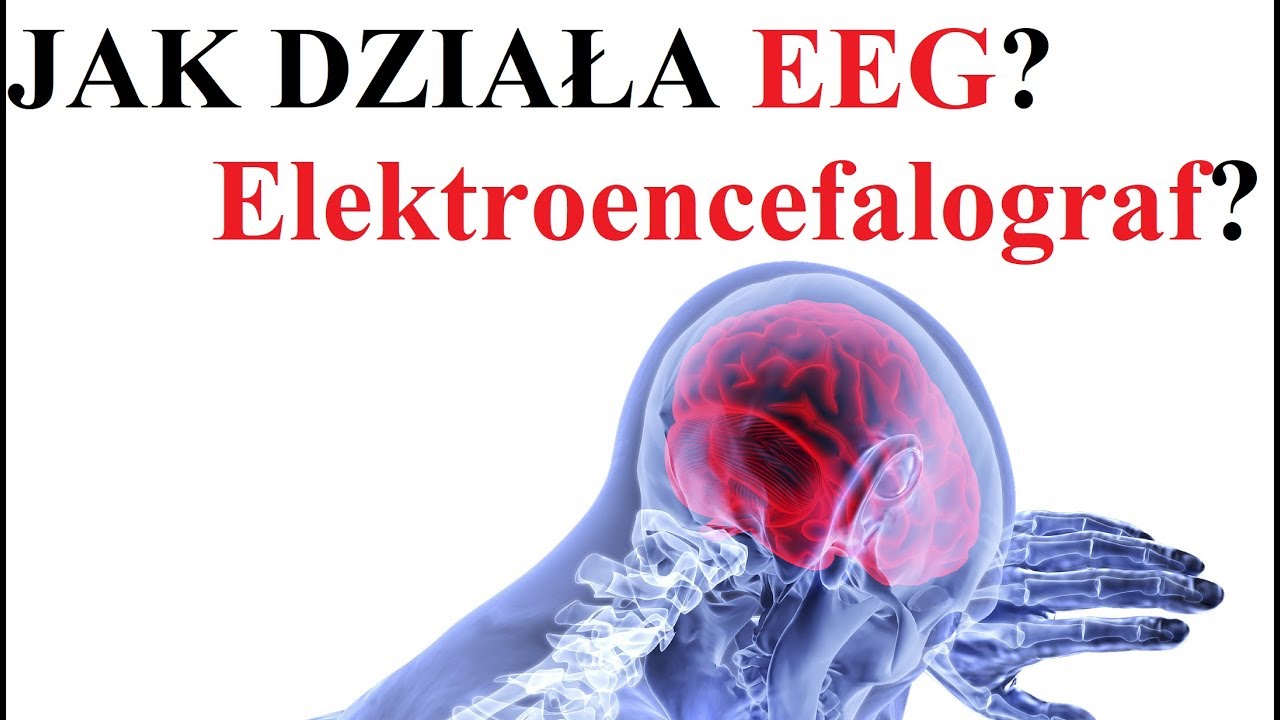 Jak działa EEG - Elektroencefalograf