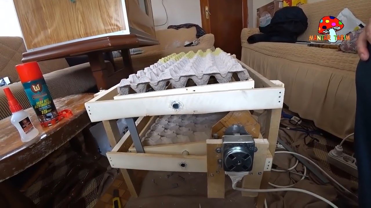Kuluçka Viyolü Nasıl Yapılır