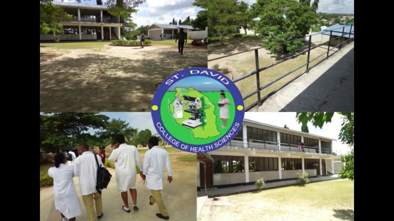 ST.  DAVID COLLEGE OF HEALTH SCIENCES uuguzi, clinical medicine