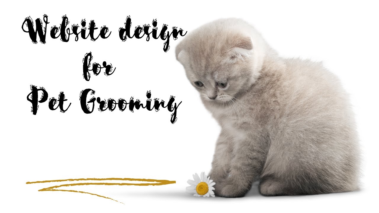 Website Design For Pet Grooming -Website Design Company Coimbatore- #Webdesigncompanyincoimbatore
