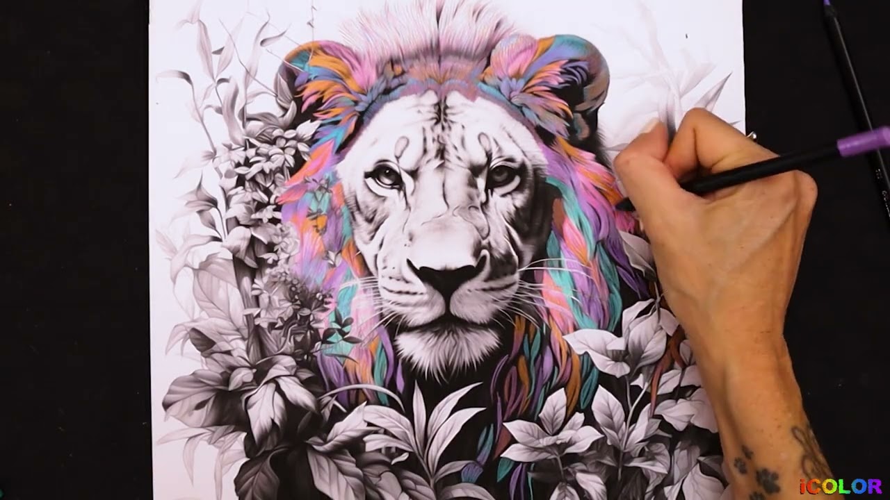 Watch me colour to some chilled Lofi beats | Timelapse