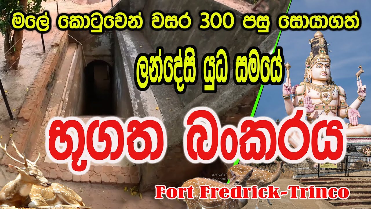 Discover Trincomalee’s Hidden WWII Bunker Inside Fort Fredrick 🇱🇰