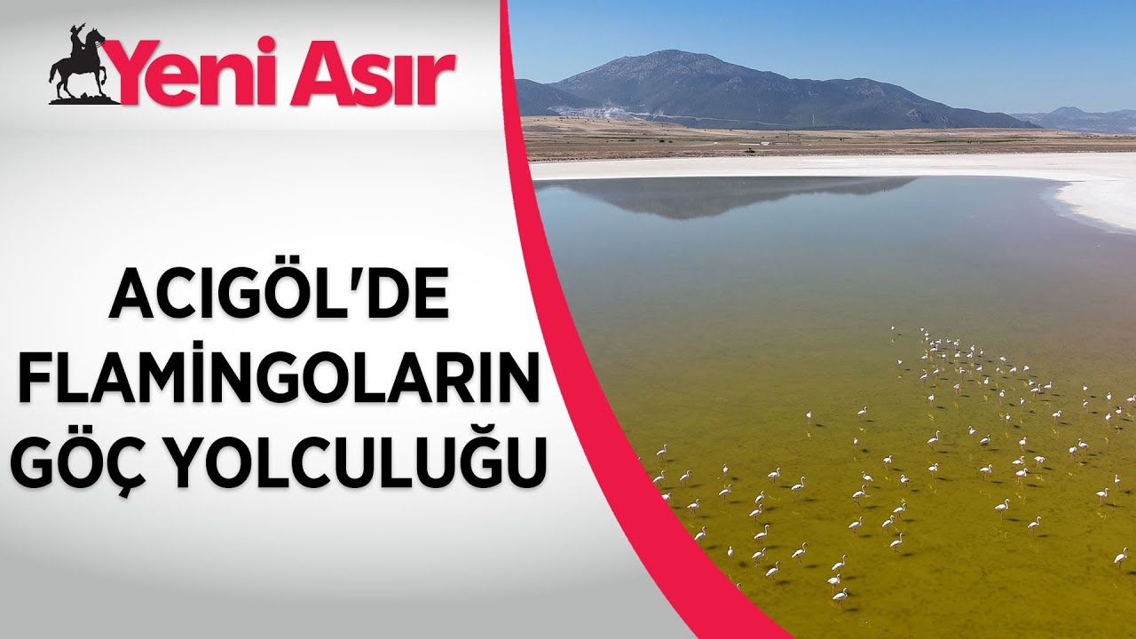 Kuş cenneti Acıg&ouml;l'de flamingoların g&ouml;&ccedil; yolculuğu | Yeni Asır