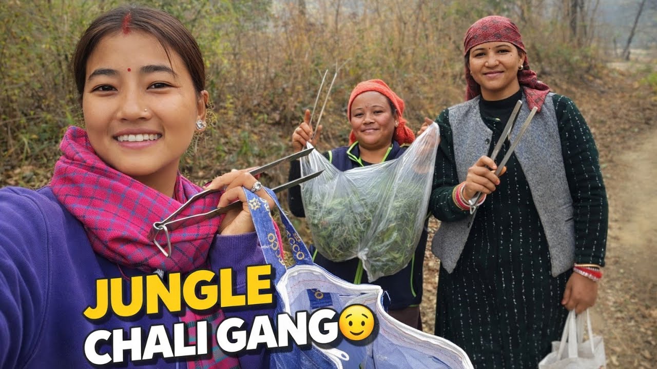 Pahadi Sisnu Lene Gaye Jungle 🌿😍 | Shimana Vlogs